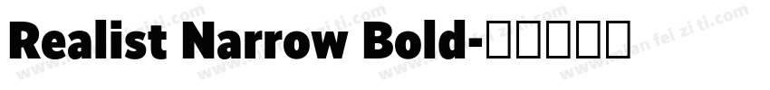 Realist Narrow Bold字体转换